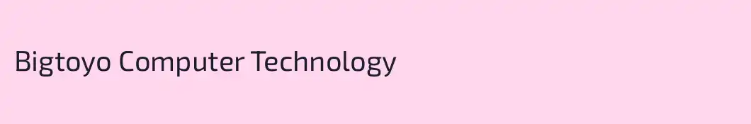Bigtoyo Computer Technology